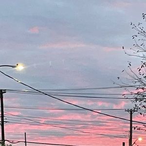 Meet your Posher, Alaysha